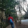 partingfrog